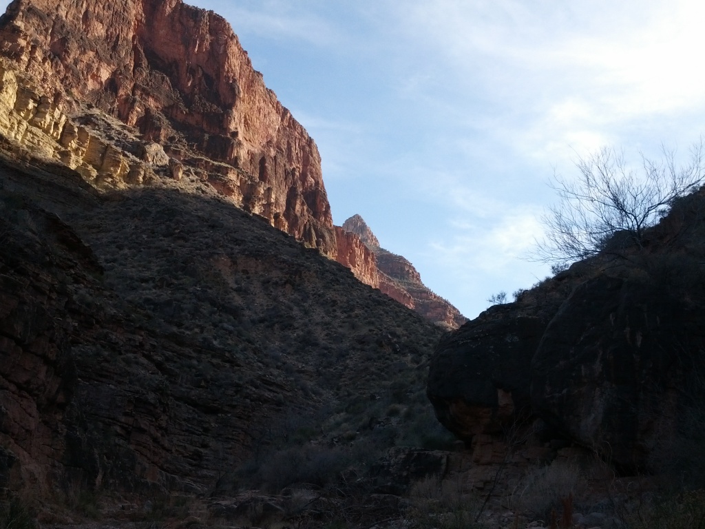 IMG_20130314_160543.jpg